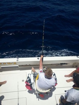 Hooked Up - Thibias Uvestedt is fighting with a Blue Marlin Cavalier & Blue Marlin Sport Fishing Gran Canaria