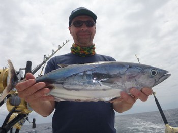 Skipjack tonfisk Cavalier & Blue Marlin Sport Fishing Gran Canaria
