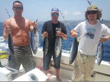 Skipjack Tuna caught on the boat Cavalier Cavalier & Blue Marlin Sport Fishing Gran Canaria