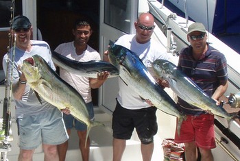 Dorado's - Some Dorado's caught on the boat Blue Marlin 3 Cavalier & Blue Marlin Sport Fishing Gran Canaria