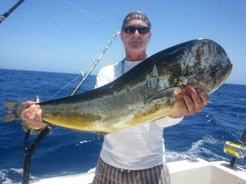 Dorado - Lena de Suecia muestra un Dorado de buen tamaño Cavalier & Blue Marlin Sport Fishing Gran Canaria