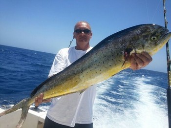 Dorado - Cees Gillesen de Holanda Cavalier & Blue Marlin Sport Fishing Gran Canaria