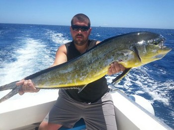 Dorado - Asley Hook del Reino Unido Cavalier & Blue Marlin Sport Fishing Gran Canaria