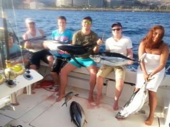 Great Catches on the boat Cavalier Cavalier & Blue Marlin Sport Fishing Gran Canaria