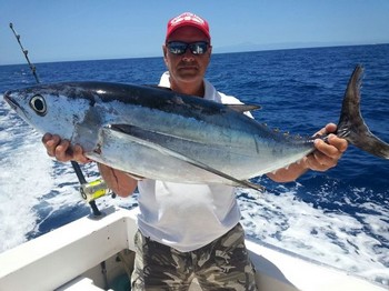 Albacore Tuna - Albacore caught by Stephan Mostrom on the boat  Cavalier Cavalier & Blue Marlin Sport Fishing Gran Canaria