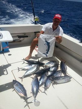 Skipjack Tuna - Skipjacks fångade på Cavalier Cavalier & Blue Marlin Sport Fishing Gran Canaria
