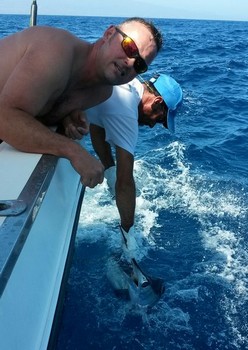 Release Me - Please release me ...! Cavalier & Blue Marlin Sport Fishing Gran Canaria