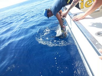 Liberame Cavalier & Blue Marlin Sport Fishing Gran Canaria