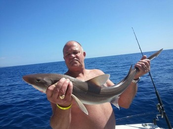 Tope - Nice Tope capturado y liberado por Harmen Doorn Cavalier & Blue Marlin Sport Fishing Gran Canaria