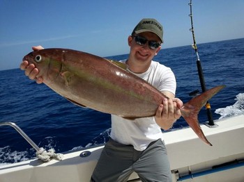 Medregal capturado por Tom Anders Taerud de Noruega Cavalier & Blue Marlin Sport Fishing Gran Canaria