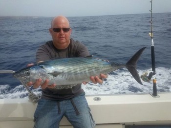 Bonito del Atlántico Norte - Bonito del Atlántico Norte capturado por Damian Brennan Cavalier & Blue Marlin Sport Fishing Gran Canaria