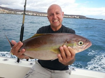 Amberjack Cavalier & Blue Marlin Sportfischen Gran Canaria