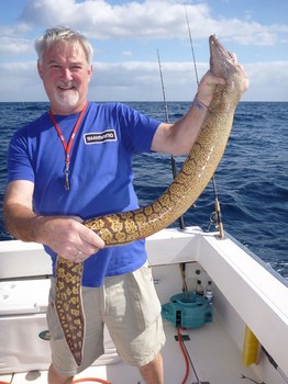 Tiger Moray - Willy Vermeulen from Belgium with a Tiger Moray Cavalier & Blue Marlin Sport Fishing Gran Canaria