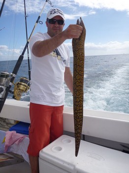 Tiger Moray Cavalier & Blue Marlin Sport Fishing Gran Canaria