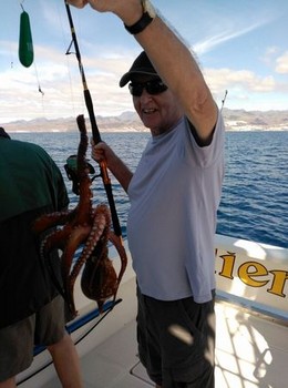 Bläckfisk - Bryan O'Brien visar sin bläckfisk Cavalier & Blue Marlin Sport Fishing Gran Canaria