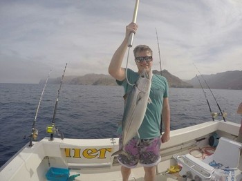 North Atlantic Bonito - Kyle Geiger from the United States Cavalier & Blue Marlin Sport Fishing Gran Canaria