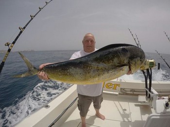Dorado - Cees Pipping from Holland Cavalier & Blue Marlin Sport Fishing Gran Canaria