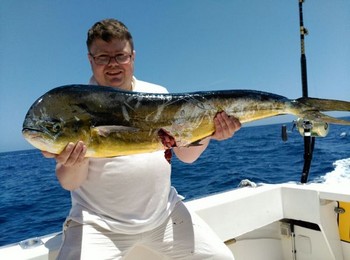 Dorado - Tomas Frid from Sweden on the boat Cavalier Cavalier & Blue Marlin Sport Fishing Gran Canaria