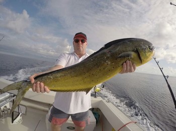 Dorado caught by Robert Engedal from Norway on the boat Cavalier Cavalier & Blue Marlin Sport Fishing Gran Canaria