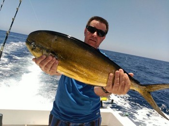 Dorado caught by Willem Jan van Eijk from Holland Cavalier & Blue Marlin Sport Fishing Gran Canaria