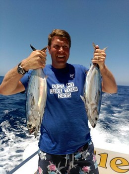 Skipjack Tuna - Skipjacks caught on the boat Cavalier Cavalier & Blue Marlin Sport Fishing Gran Canaria