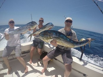 3 Dorado's Cavalier & Blue Marlin Sport Fishing Gran Canaria