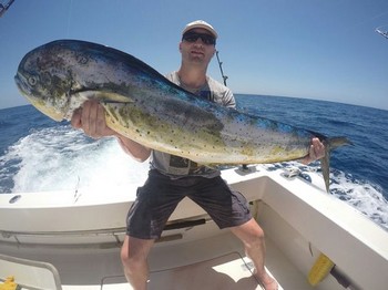 Dorado fångad av Jos van Loo från Holland Cavalier & Blue Marlin Sport Fishing Gran Canaria