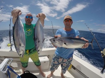 Skipjack Tuna - Mark & Steve fångade i morse några Skipjack Tuna Cavalier & Blue Marlin Sport Fishing Gran Canaria