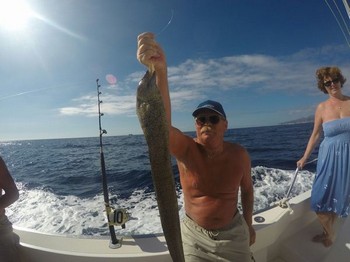 Tiger Moray caught by Arto Carianen from Finland Cavalier & Blue Marlin Sport Fishing Gran Canaria