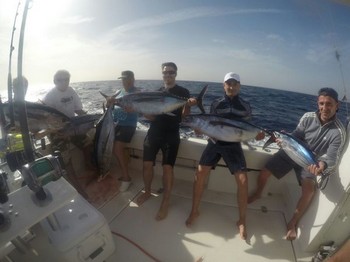 Well done - Beautiful catch of Albacore Tuna Cavalier & Blue Marlin Sport Fishing Gran Canaria