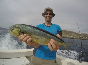 Dorado gevangen puerta Enrique uit Las Palmas Cavalier & Blue Marlin Sport Fishing Gran Canaria