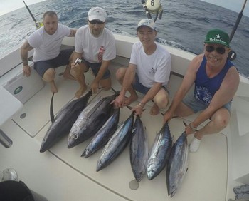 Well done - Well Done Cavalier & Blue Marlin Sport Fishing Gran Canaria