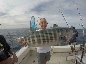 North Atlantic Bonito - Good sized Atlantic Bonito caught by Leo Haak Cavalier & Blue Marlin Sport Fishing Gran Canaria