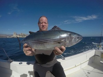 North Atlantic Bonito caught by Jan Bisschop from Holland Cavalier & Blue Marlin Sport Fishing Gran Canaria