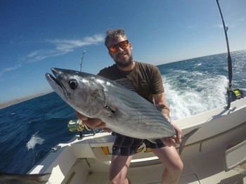 North Atlantic Bonito caught by Greg Young Cavalier & Blue Marlin Sport Fishing Gran Canaria