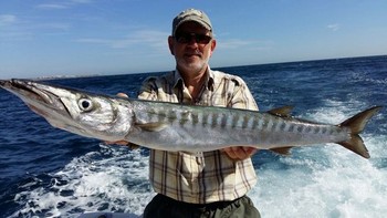 Barracuda - Freek Morees shows a nice Barracuda Cavalier & Blue Marlin Sport Fishing Gran Canaria
