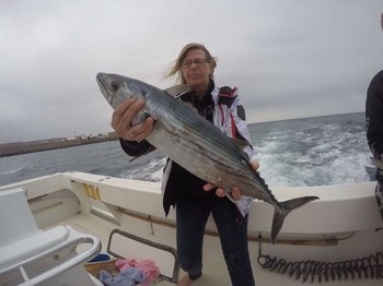 Nordatlantik Bonito - Lise Sombroen aus Norwegen Cavalier & Blue Marlin Sportfischen Gran Canaria
