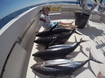 Bien hecho - Un pescador muy orgulloso Cavalier & Blue Marlin Sport Fishing Gran Canaria