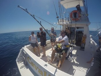 Stolt Cavalier & Blue Marlin Sport Fishing Gran Canaria
