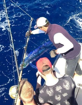 Spearfish släppt av Harro Mengers från Holland Cavalier & Blue Marlin Sport Fishing Gran Canaria