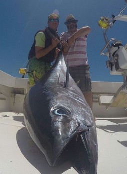 Gratulation gut gemacht ! Cavalier & Blue Marlin Sportfischen Gran Canaria