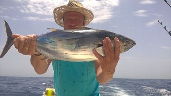 Skip Jack Tuna Cavalier & Blue Marlin Sport Fishing Gran Canaria