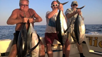 Well done guys - 4 Albacores Cavalier & Blue Marlin Sport Fishing Gran Canaria