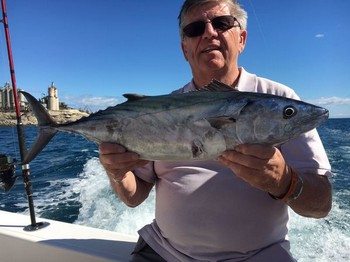 Atlantic Bonito caught by Teunis Lansing from Holland Cavalier & Blue Marlin Sport Fishing Gran Canaria