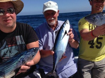 North Atlantic Bonito - Jens Poulsen from Germany Cavalier & Blue Marlin Sport Fishing Gran Canaria