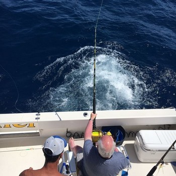 Angeschlossen Cavalier & Blue Marlin Sport Fishing Gran Canaria