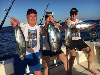 Atún listado - Equipo Arctic Norway Cavalier & Blue Marlin Sport Fishing Gran Canaria