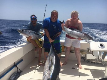Bigeye & Albacore - Bigeye Tuna and 2 Albacore Tuna Cavalier & Blue Marlin Sport Fishing Gran Canaria