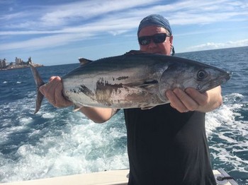 Atlantic Bonito caught by Christian Arbild from Denmark Cavalier & Blue Marlin Sport Fishing Gran Canaria
