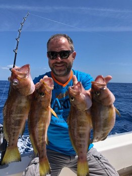 Comber fish - Congratulations, well done ! Cavalier & Blue Marlin Sport Fishing Gran Canaria
